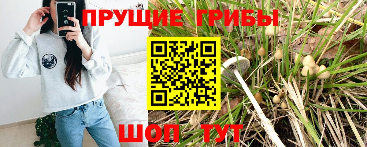 Элиста  Галлюциногенные грибы MAGIC MUSHROOMS  Вход с VPN 