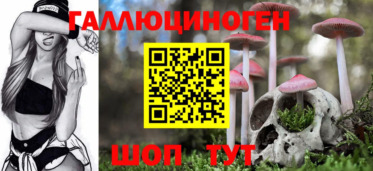 Псилоцибиновые грибы мицелий Элиста